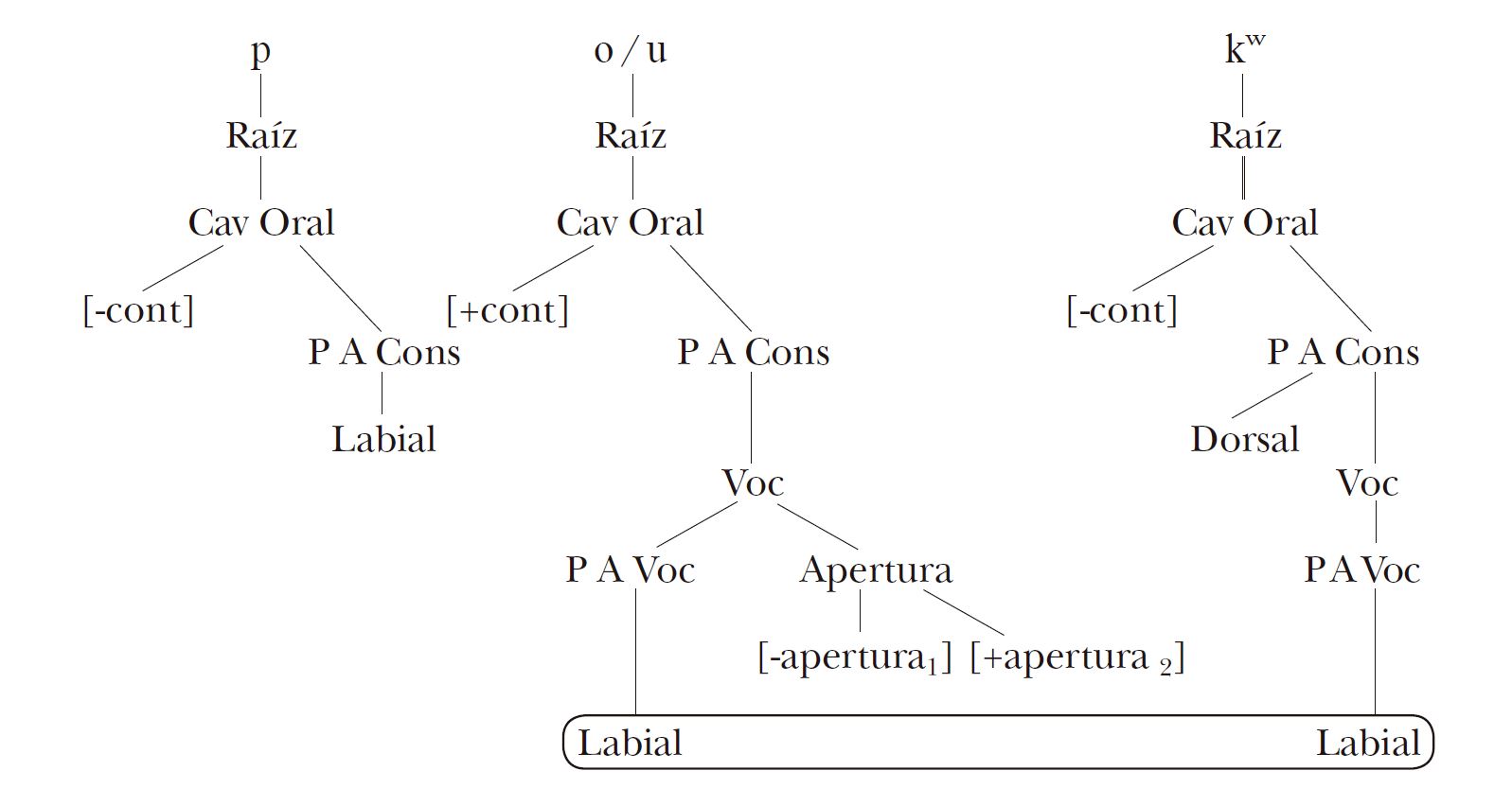 Representaciones de segmentos [Labial], simples y complejos